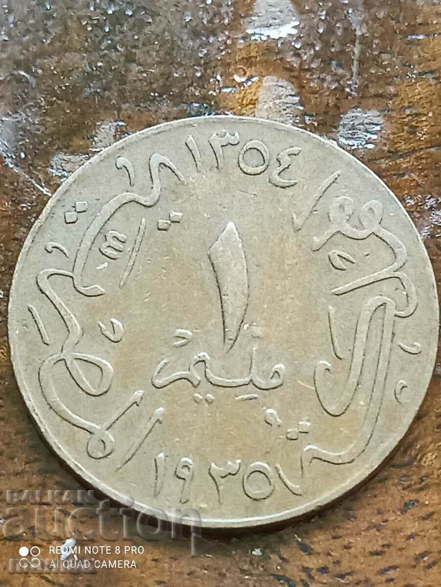Auction  1 Milem Egypt