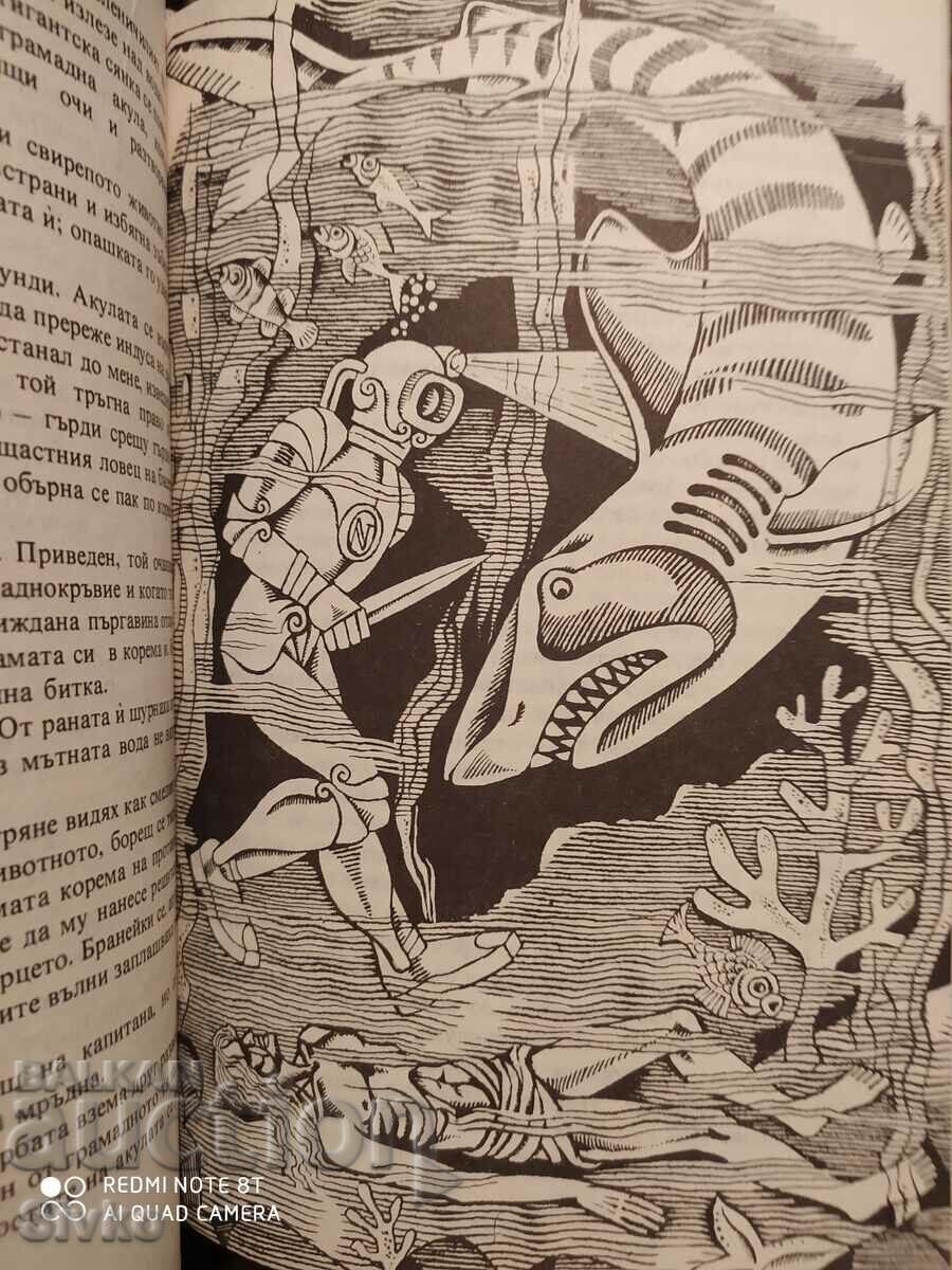 Licitație Căpitanul Nemo, Jules Verne, multe ilustrații