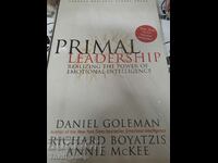 Primal leadership Daniel Coleman