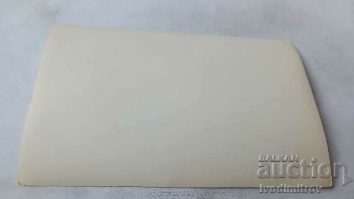 Φωτογραφία Δύο νεαρές γυναίκες πάνω από μια πόλη στον Δούναβη με τιμή 1.85 BGN | € 0.95 Φωτογραφία Δύο νεαρές γυναίκες πάνω από μια πόλη στον Δούναβη με τιμή 1.85 BGN | € 0.95