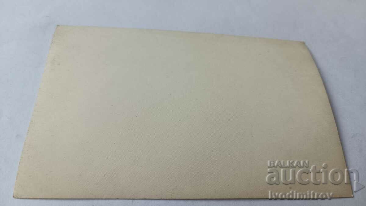 Φωτογραφία Νεαρή γυναίκα στον θαλάσσιο κήπο με τιμή 2.35 BGN | € 1.20 Φωτογραφία Νεαρή γυναίκα στον θαλάσσιο κήπο με τιμή 2.35 BGN | € 1.20