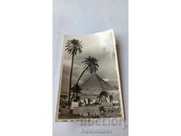 Postcard Cairo The Chefren Pyramid 1959