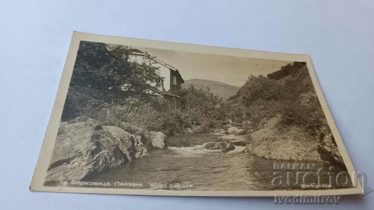 Пощенска картичка Берковица Пейзаж край реката