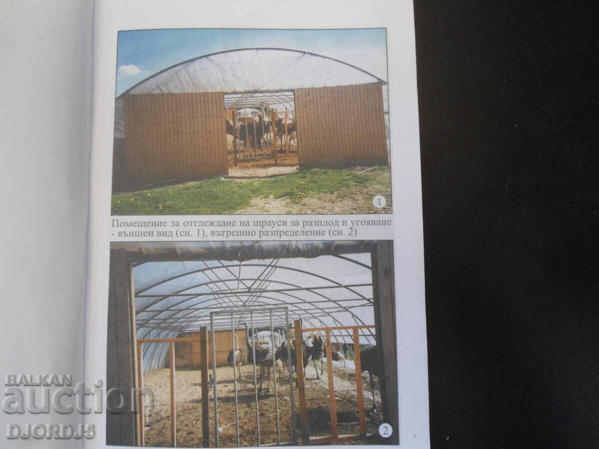 Strutii - un nou teritoriu pentru afaceri cu preț 5.00 BGN | € 2.56