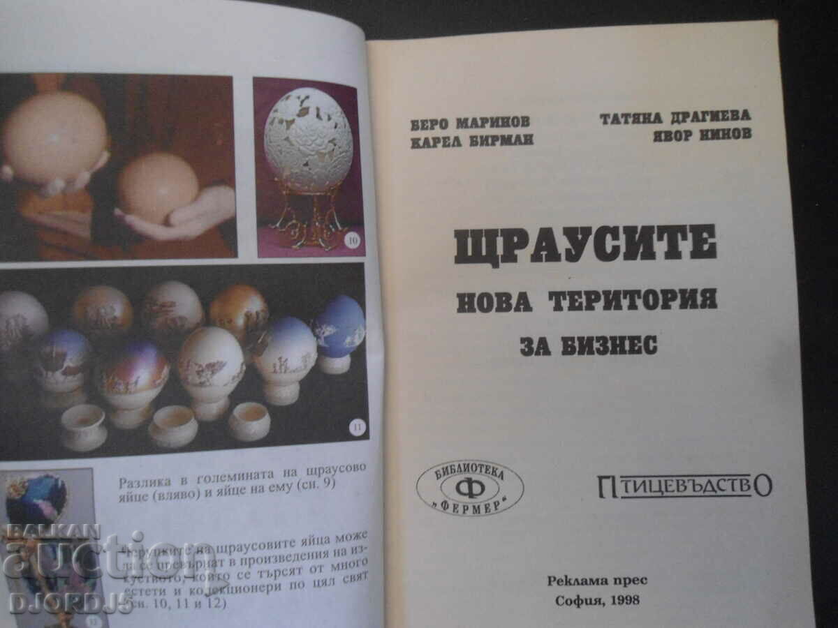 Livrarea Strutii - un nou teritoriu pentru afaceri