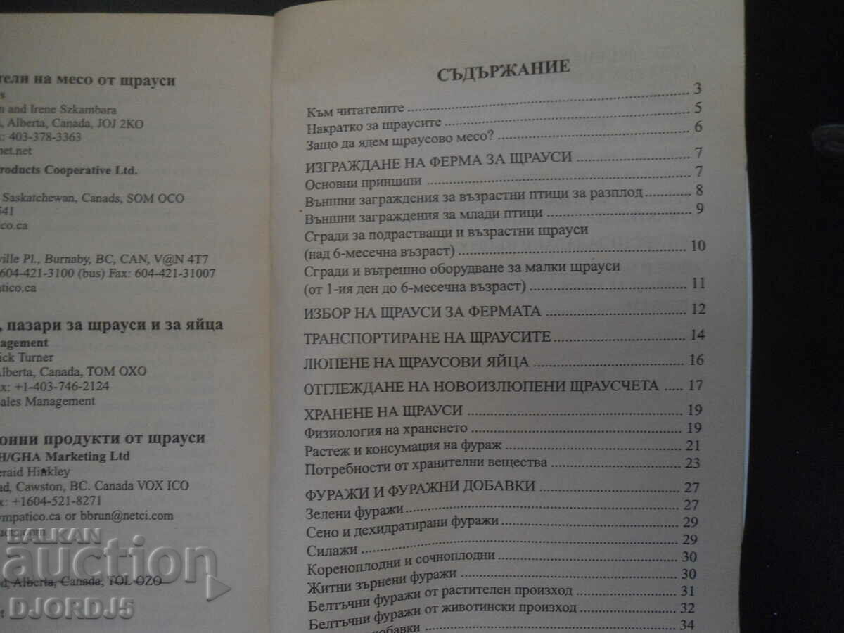 Strutii - un nou teritoriu pentru afaceri - 5