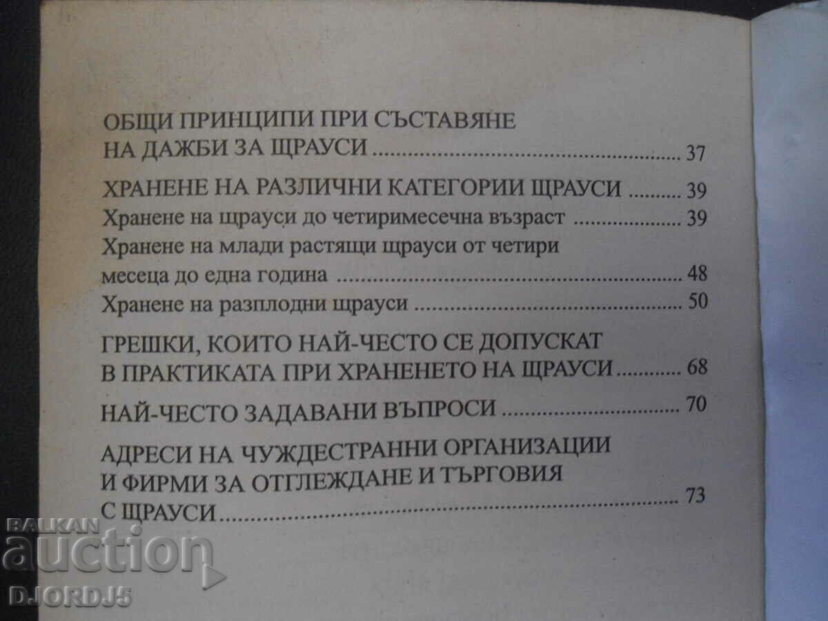 Strutii - un nou teritoriu pentru afaceri - 6