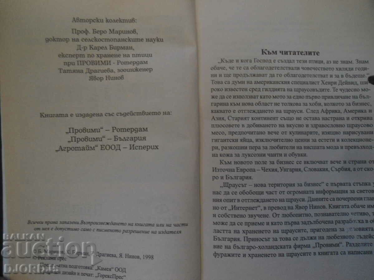 Strutii - un nou teritoriu pentru afaceri - 7