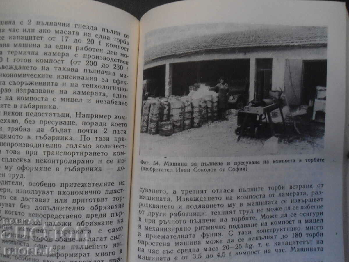 Delivery of Intensive production of mushrooms Delivery of Intensive production of mushrooms