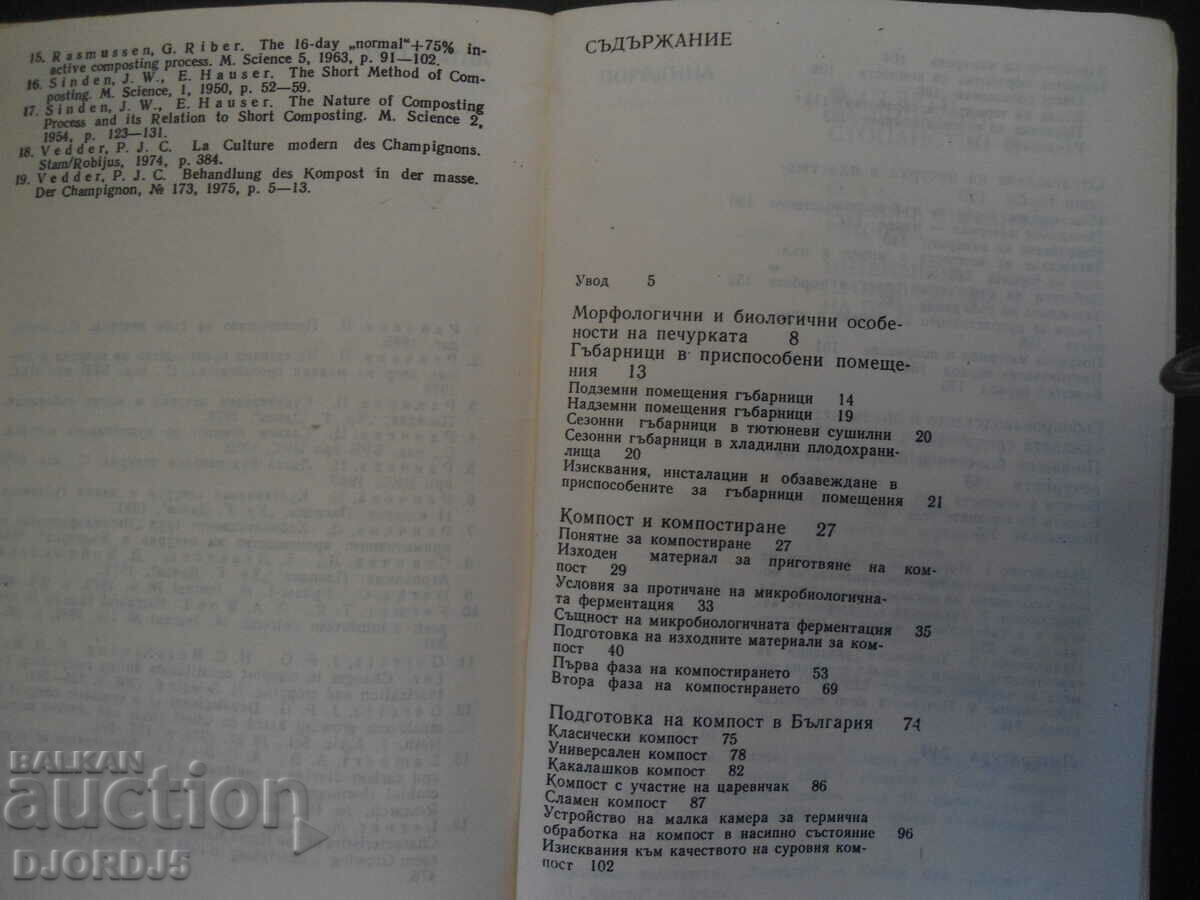 Intensive production of mushrooms - 5 Intensive production of mushrooms - 5