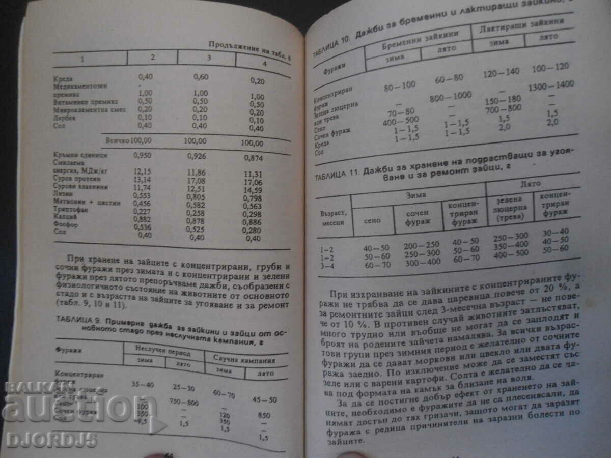 Delivery of The rabbits in my home Delivery of The rabbits in my home