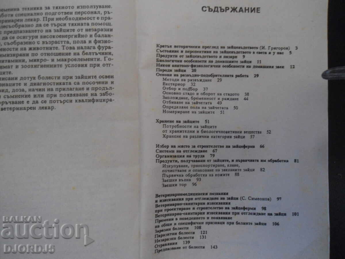 The rabbits in my home - 5 The rabbits in my home - 5