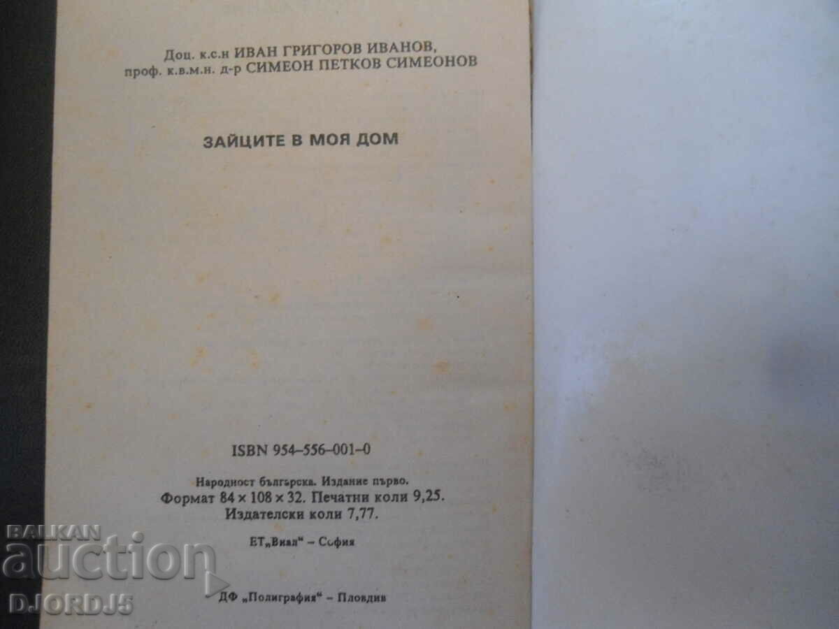 The rabbits in my home - 6 The rabbits in my home - 6