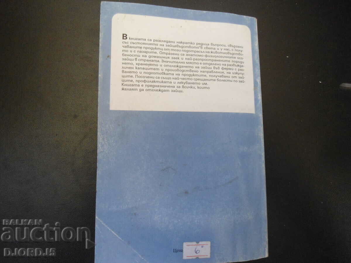 The rabbits in my home - 7 The rabbits in my home - 7