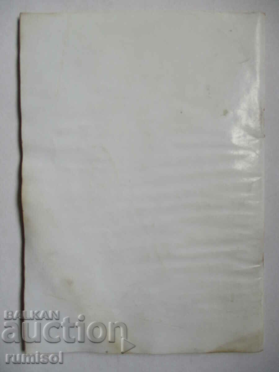 This world dies harshly without love - Petranka Trifonova - 5 This world dies harshly without love - Petranka Trifonova - 5