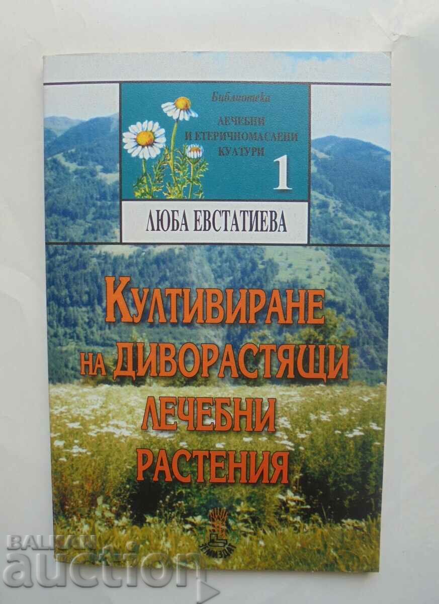 Cultivation of wild medicinal plants Lyuba Evstatieva
