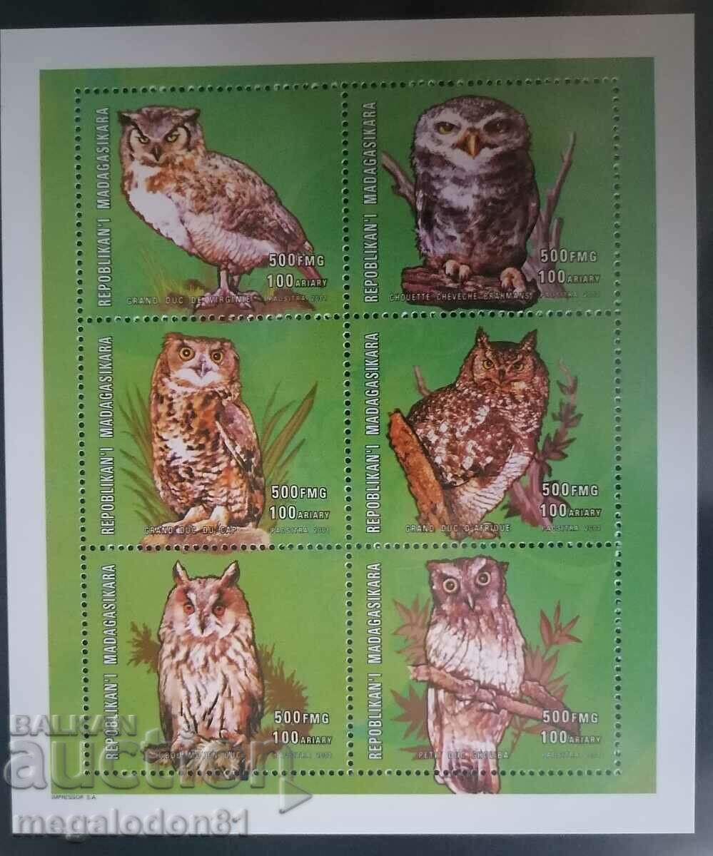 Madagascar - fauna, owls