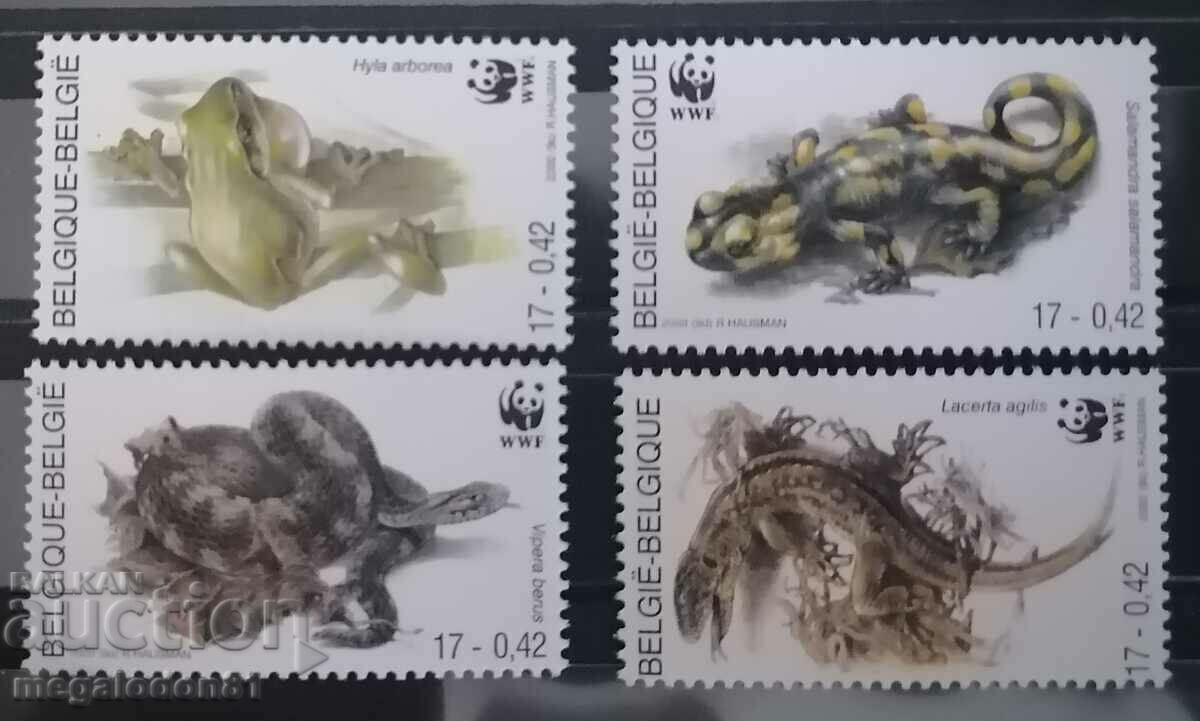 Belgia - WWF, amfibieni