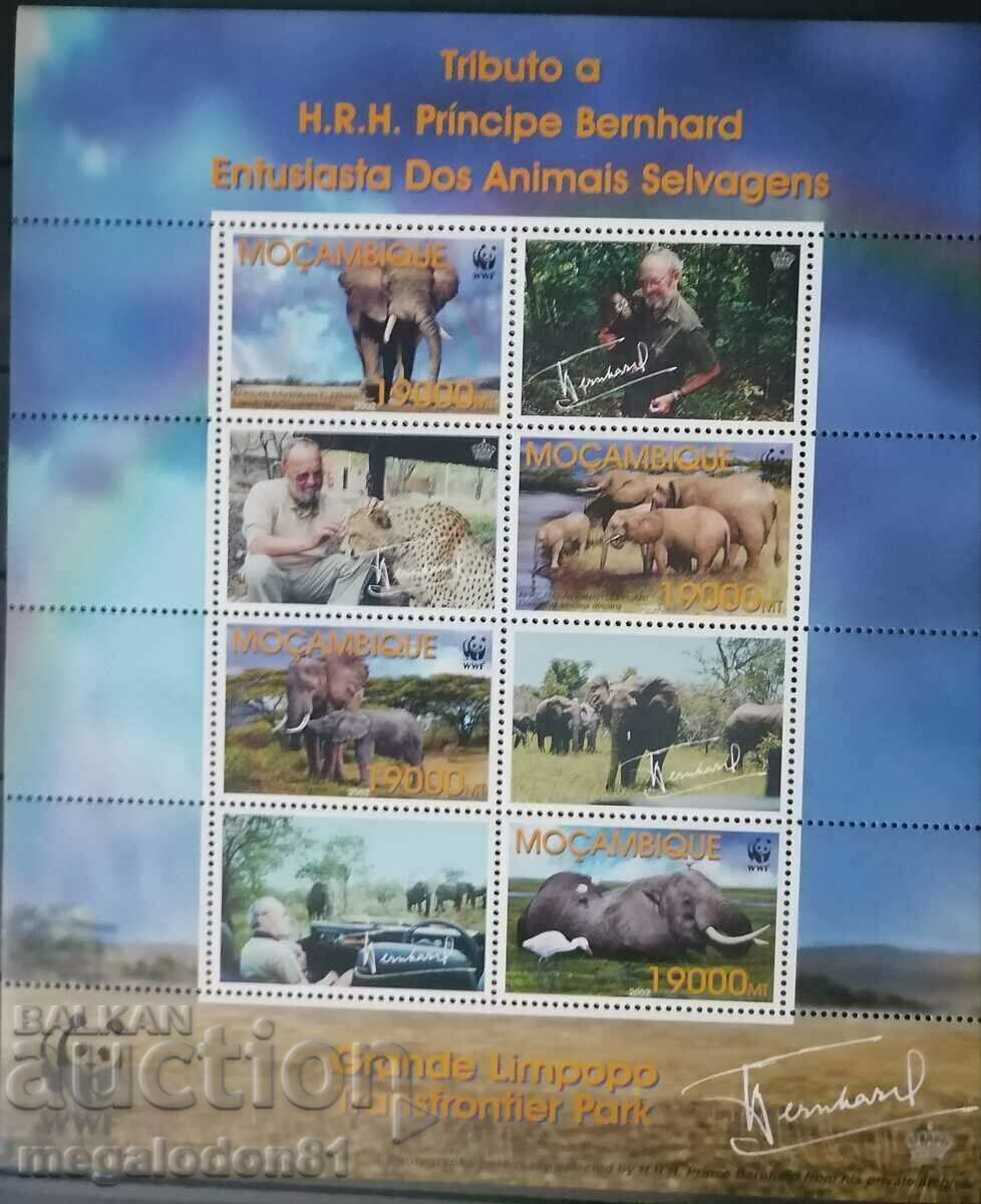 Mozambique - WWF, African elephant