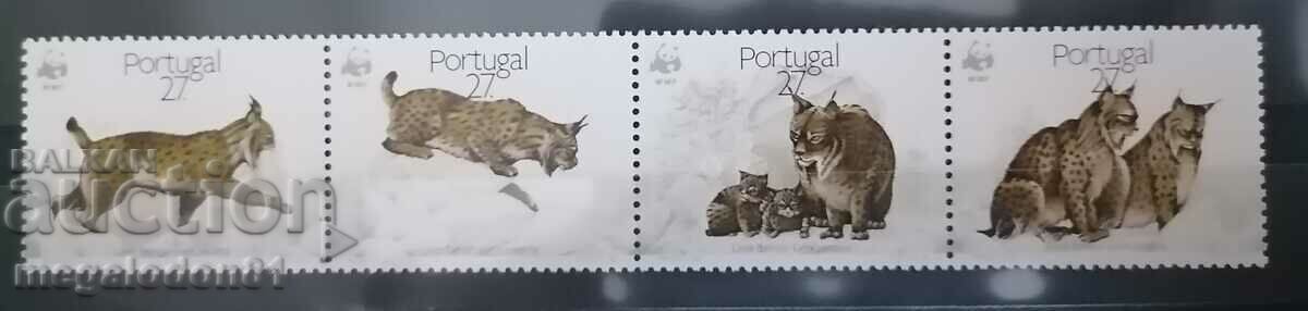 Portugal - protected fauna, Iberian lynx