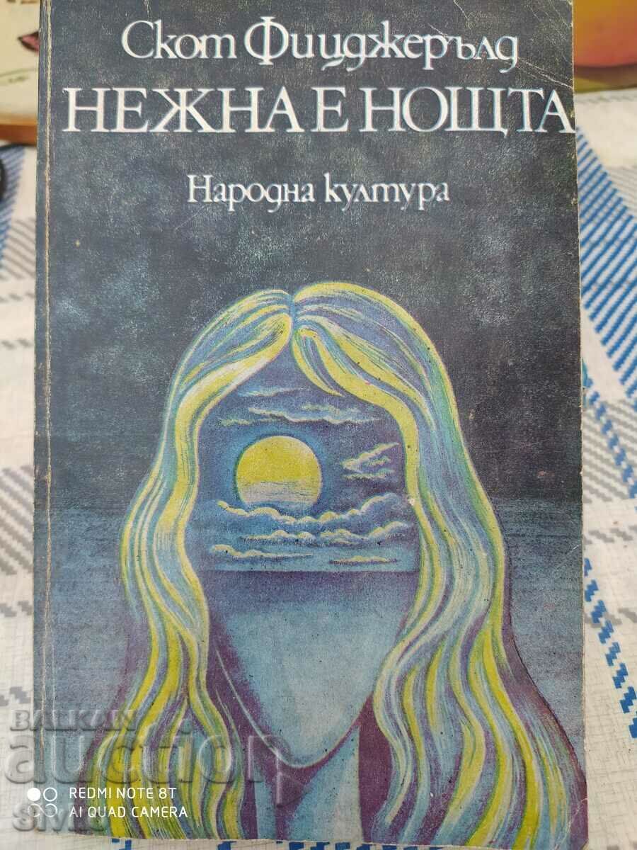 Gentle is the night, Scott Fitzgerald