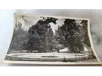 Postcard Burgas Sea Garden