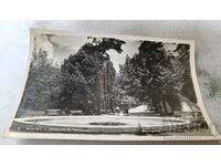 Καρτ ποστάλ Burgas Sea Garden