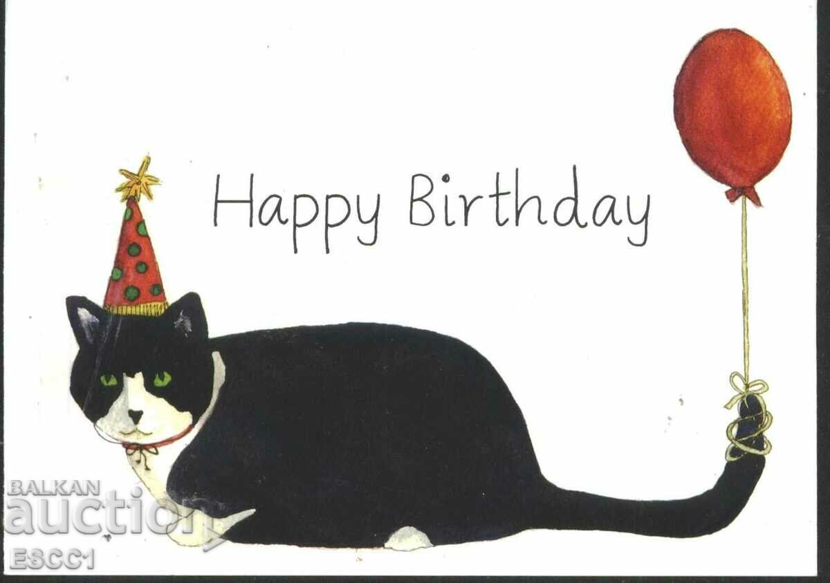 Greeting Card Birthday Cat UK