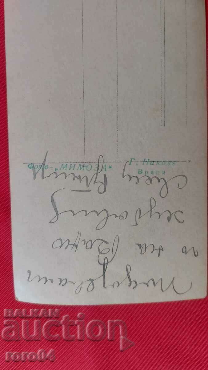 Delivery of PRIEST - PHOTO MIMOSA - VRACA Delivery of PRIEST - PHOTO MIMOSA - VRACA