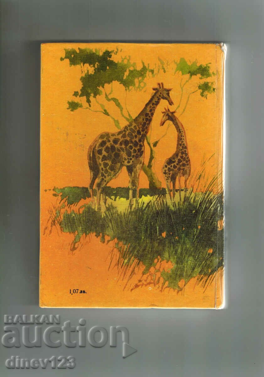 KAMBO - PETER BOBEV with price 3.00 BGN | € 1.53 KAMBO - PETER BOBEV with price 3.00 BGN | € 1.53