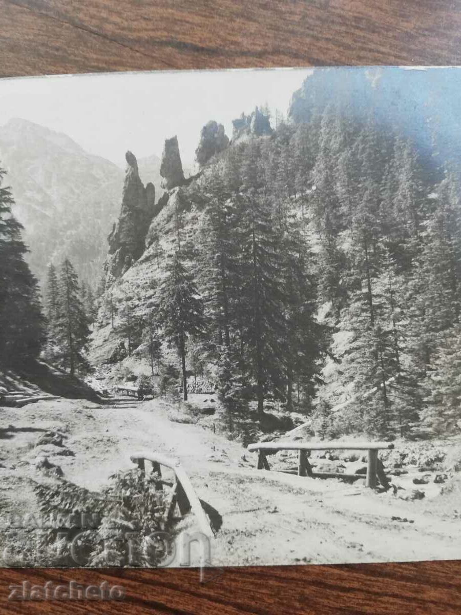 Postcard Poland 1920s and 1930s, author's photography with price 34.50 BGN | € 17.64 Postcard Poland 1920s and 1930s, author's photography with price 34.50 BGN | € 17.64