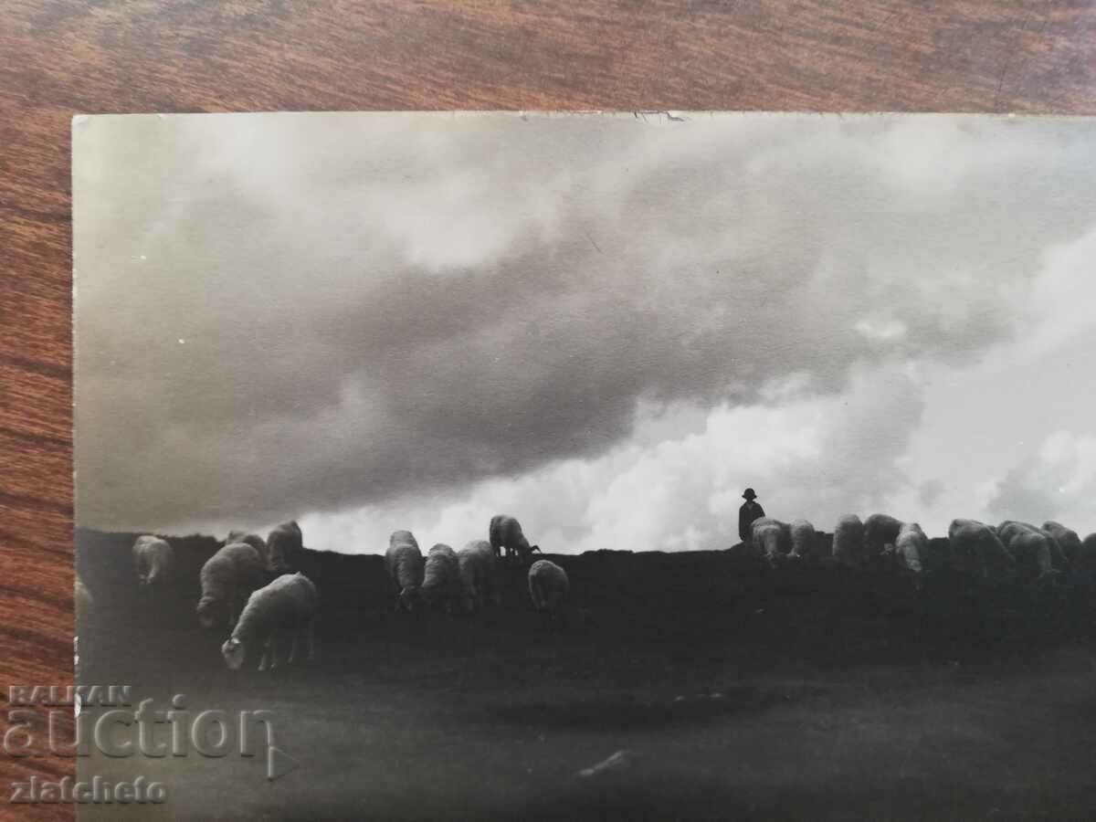 Καρτ ποστάλ Πολωνία 1920 και 1930, φωτογραφία συγγραφέα με τιμή 34.50 BGN | € 17.64