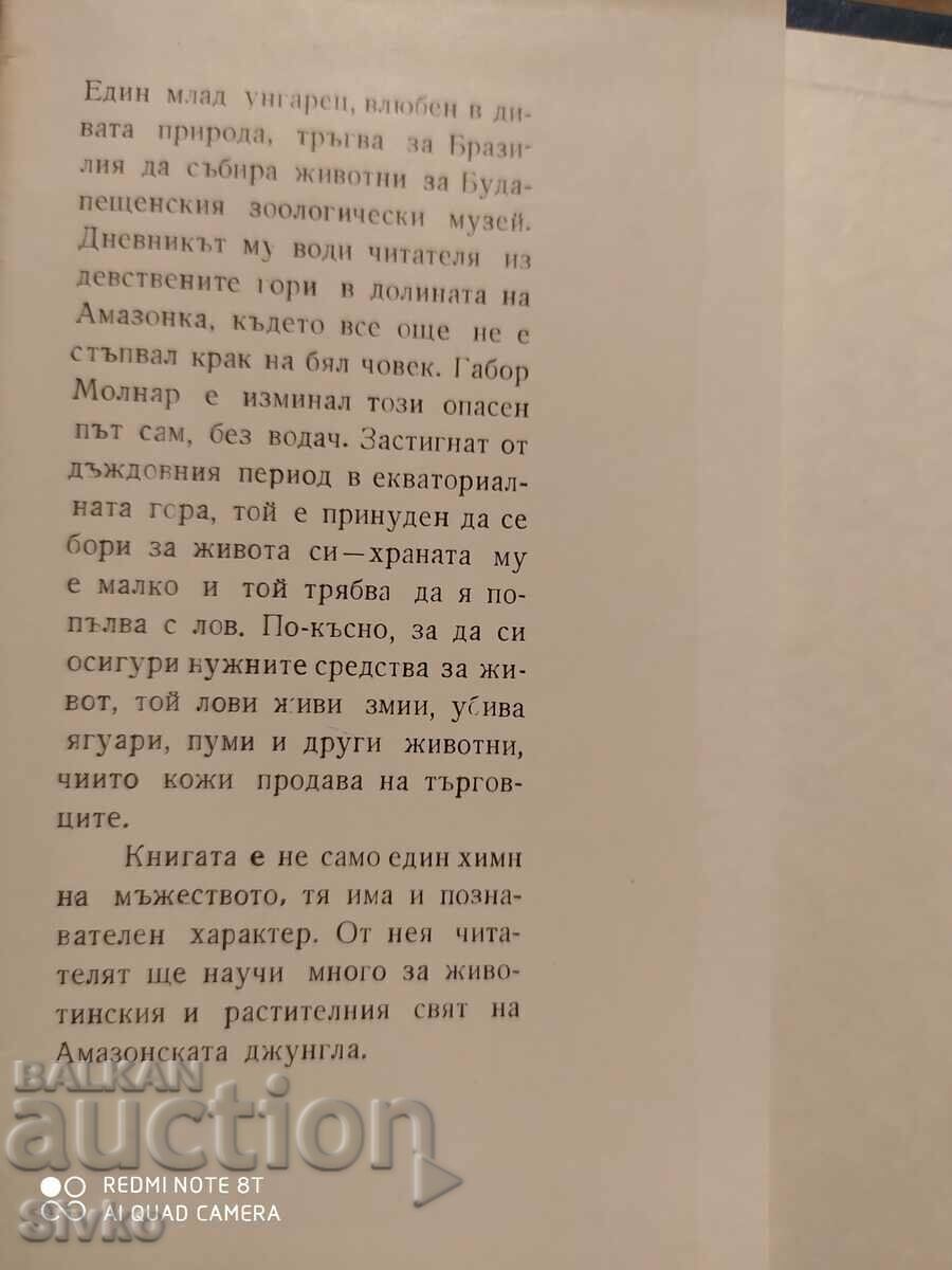 On the hunting trails, Molnar Gabor with price € 0.01 | 0.02 BGN