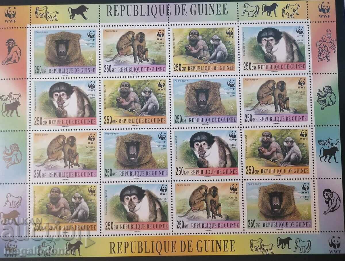 Republic of Guinea - WWF, monkeys