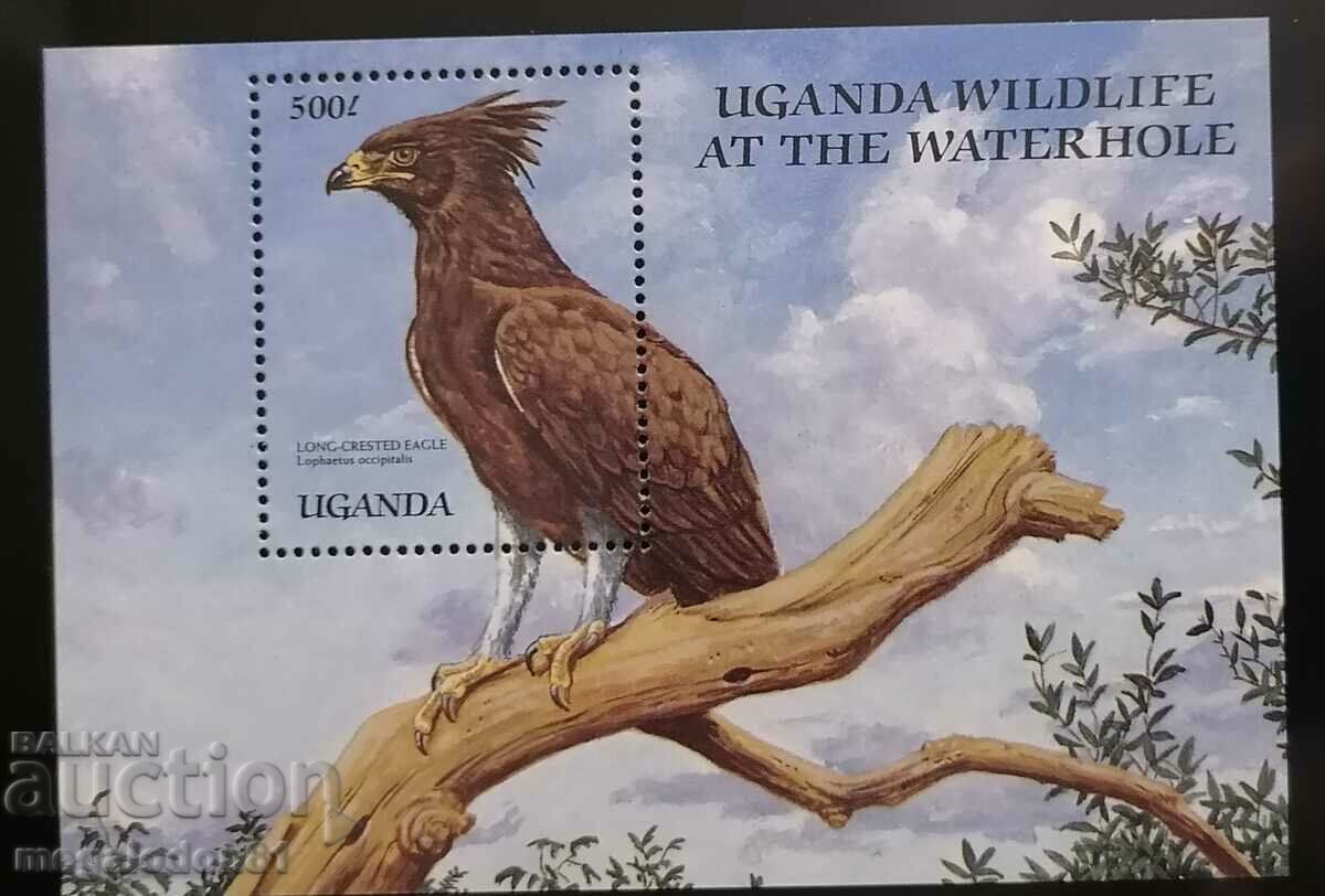 Auction Uganda - African fauna Auction Uganda - African fauna