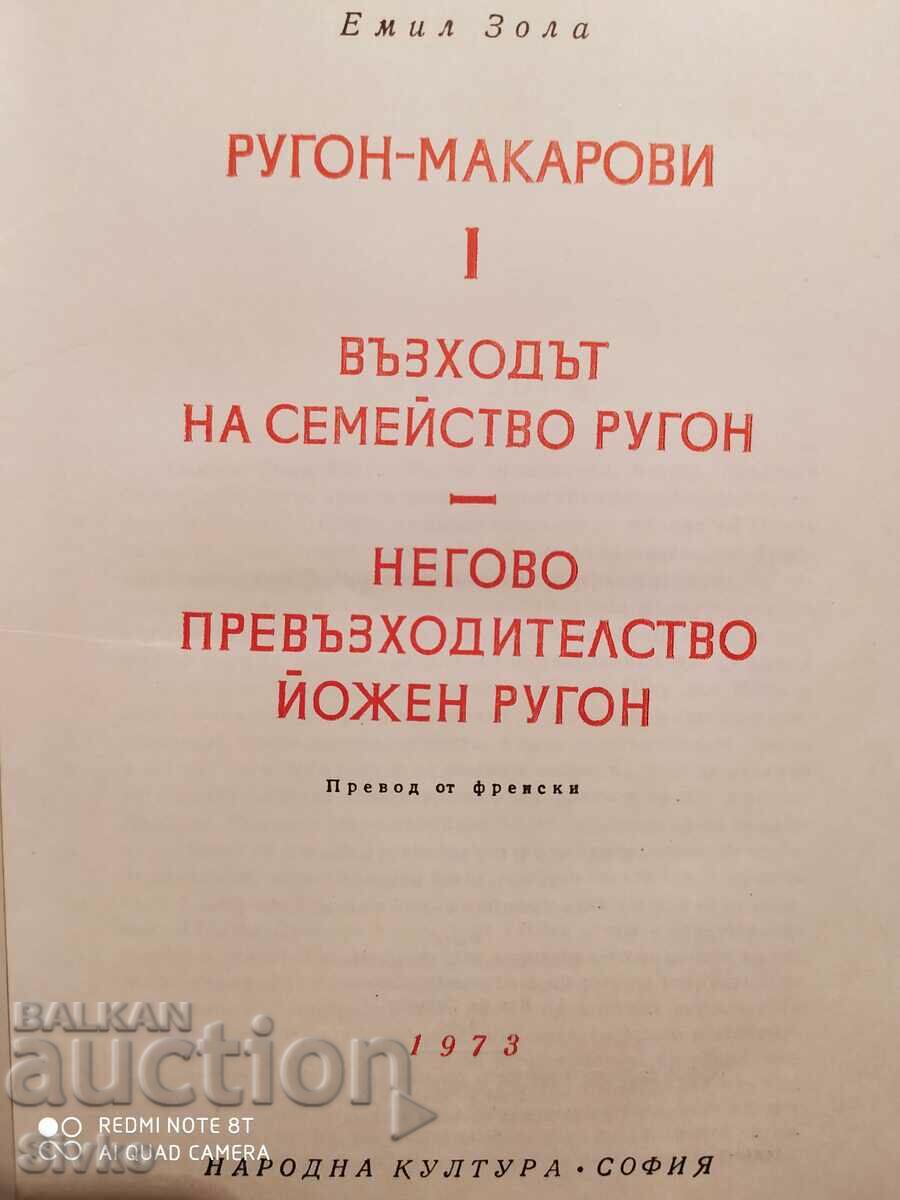 Δημοπρασία Rugon-Makarovi, Η άνοδος της οικογένειας Ρουγκόν, Εξοχότατε Δημοπρασία Rugon-Makarovi, Η άνοδος της οικογένειας Ρουγκόν, Εξοχότατε