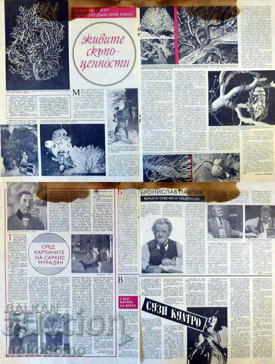 Δημοπρασία Περιοδικό: ΠΑΡΑΛΛΗΛΟΙ Δημοπρασία Περιοδικό: ΠΑΡΑΛΛΗΛΟΙ