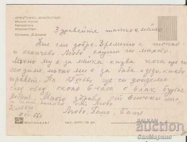 Card Bulgaria Arcutino Water lilies 1* with price 0.80 BGN | € 0.41 Card Bulgaria Arcutino Water lilies 1* with price 0.80 BGN | € 0.41