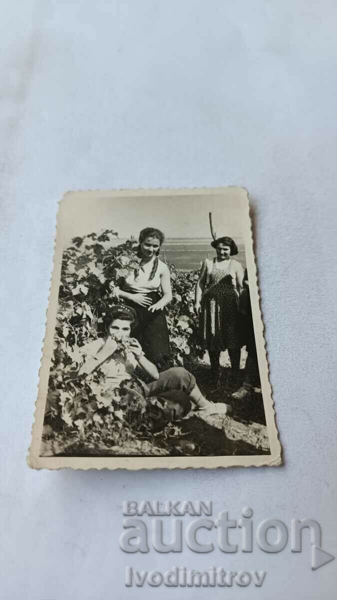 Photo Silistra Three female students from the 4th year 1958