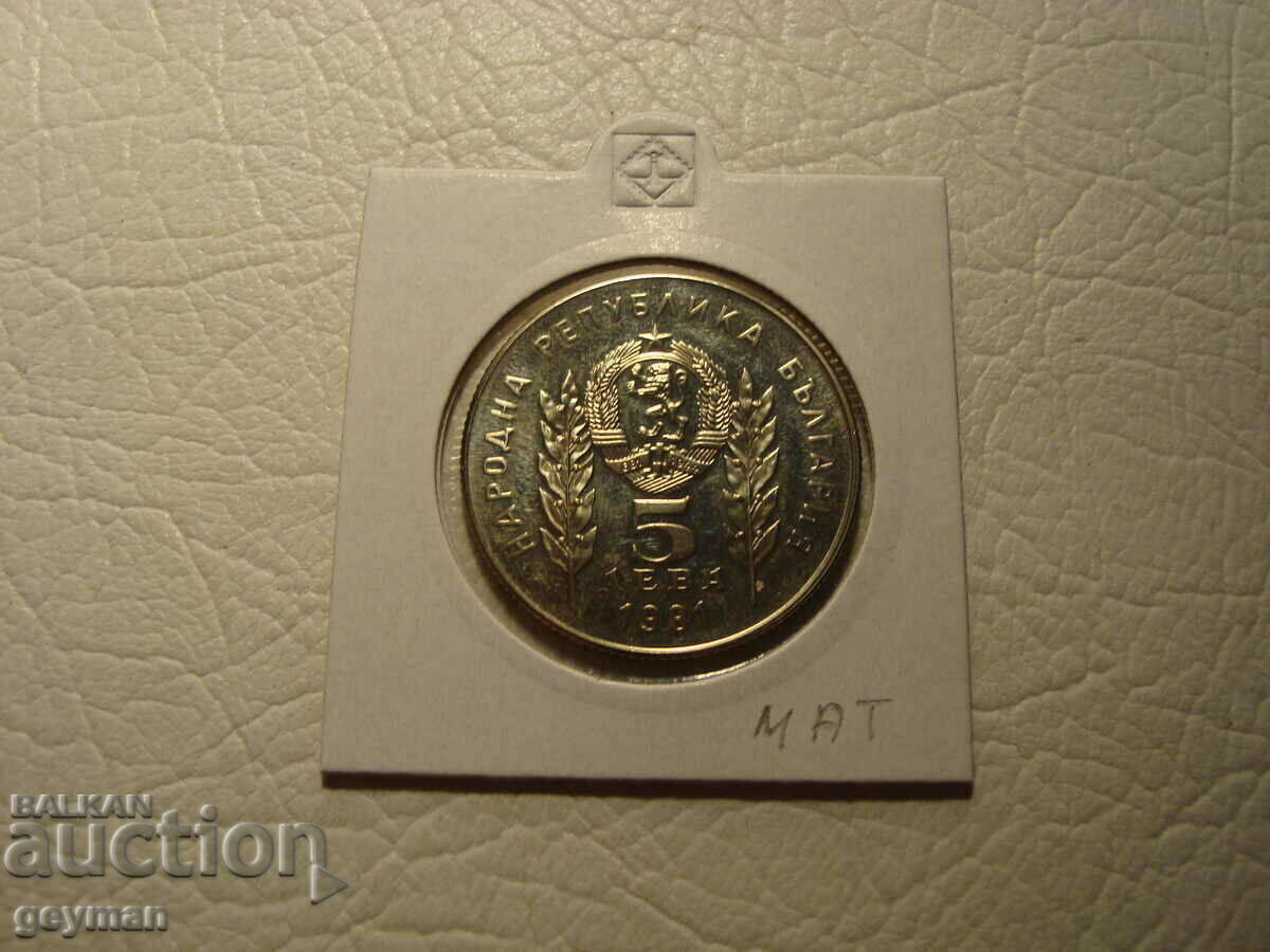5 Leva 1981 - MAT "Botev și Petofi"