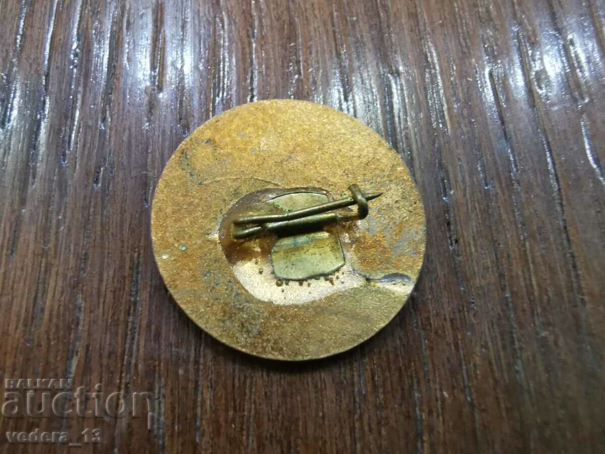 ΣΗΜΑ-ΜΠΡΟΝΖΕ με τιμή 10.00 BGN | € 5.11