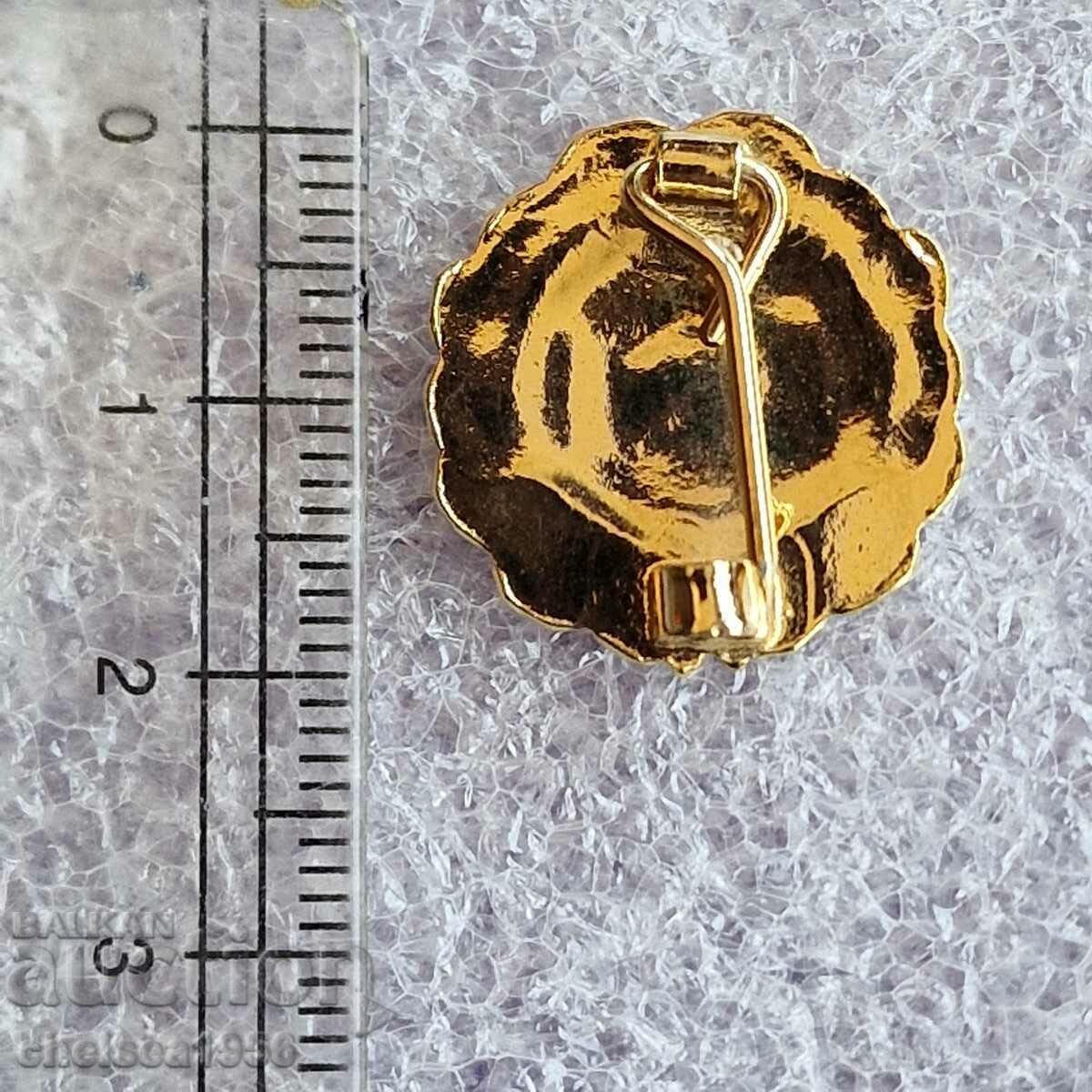 FA Borussia Dortmund badge with price 15.99 BGN | € 8.18