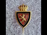 Real Zaragoza Espana badge