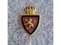 Real Zaragoza Espana badge