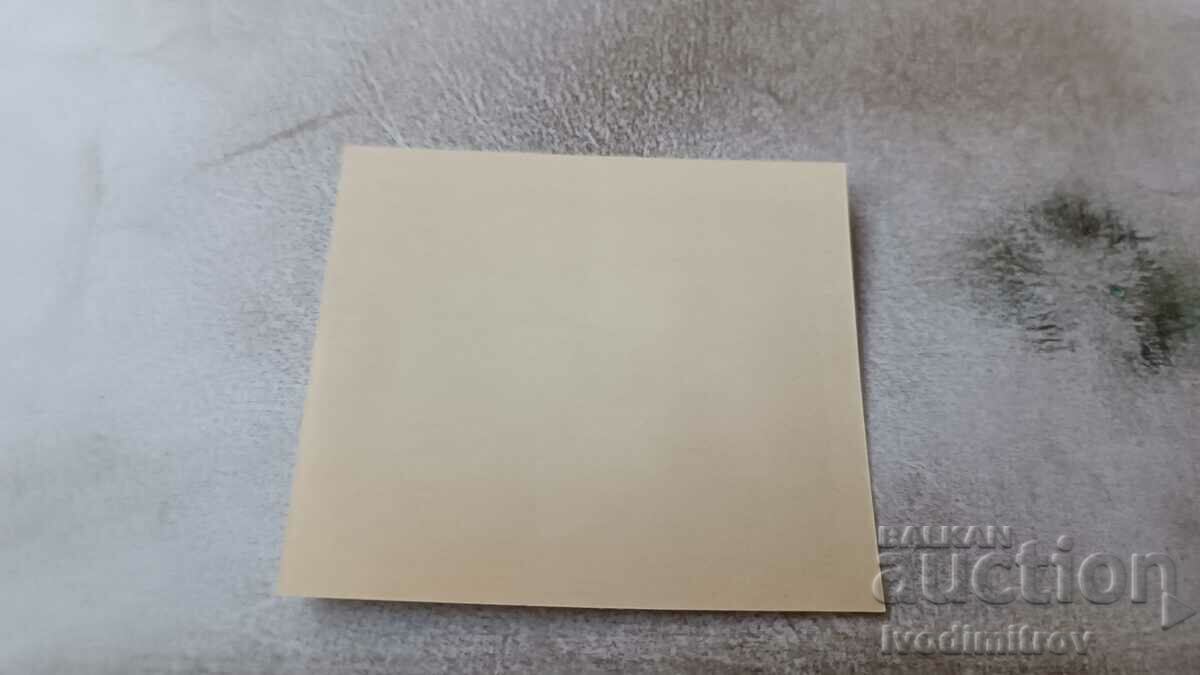 Postal block NRB 12. V. 1961 - 1966 with price 1.65 BGN | € 0.84 Postal block NRB 12. V. 1961 - 1966 with price 1.65 BGN | € 0.84