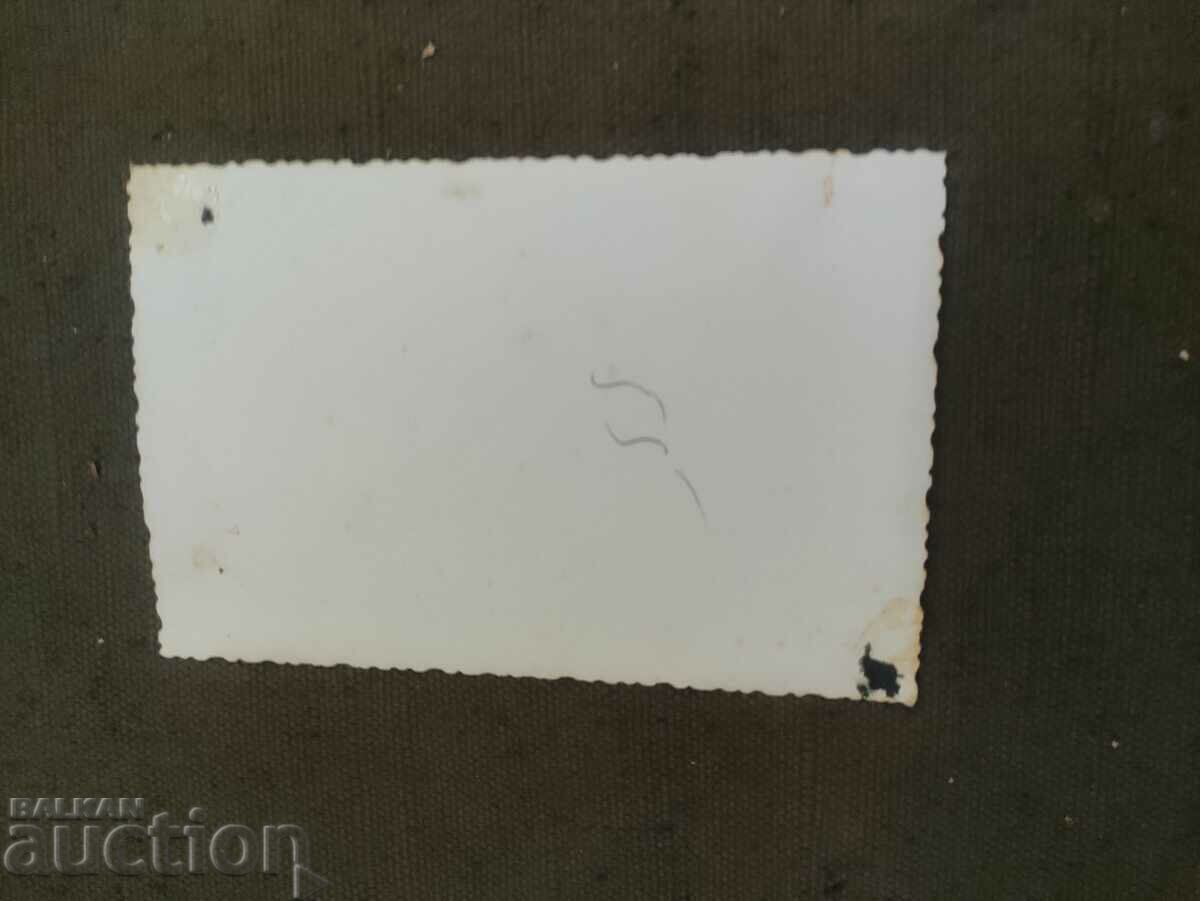 HRD in NRB with Gamza and others. with price 38.00 BGN | € 19.43 HRD in NRB with Gamza and others. with price 38.00 BGN | € 19.43