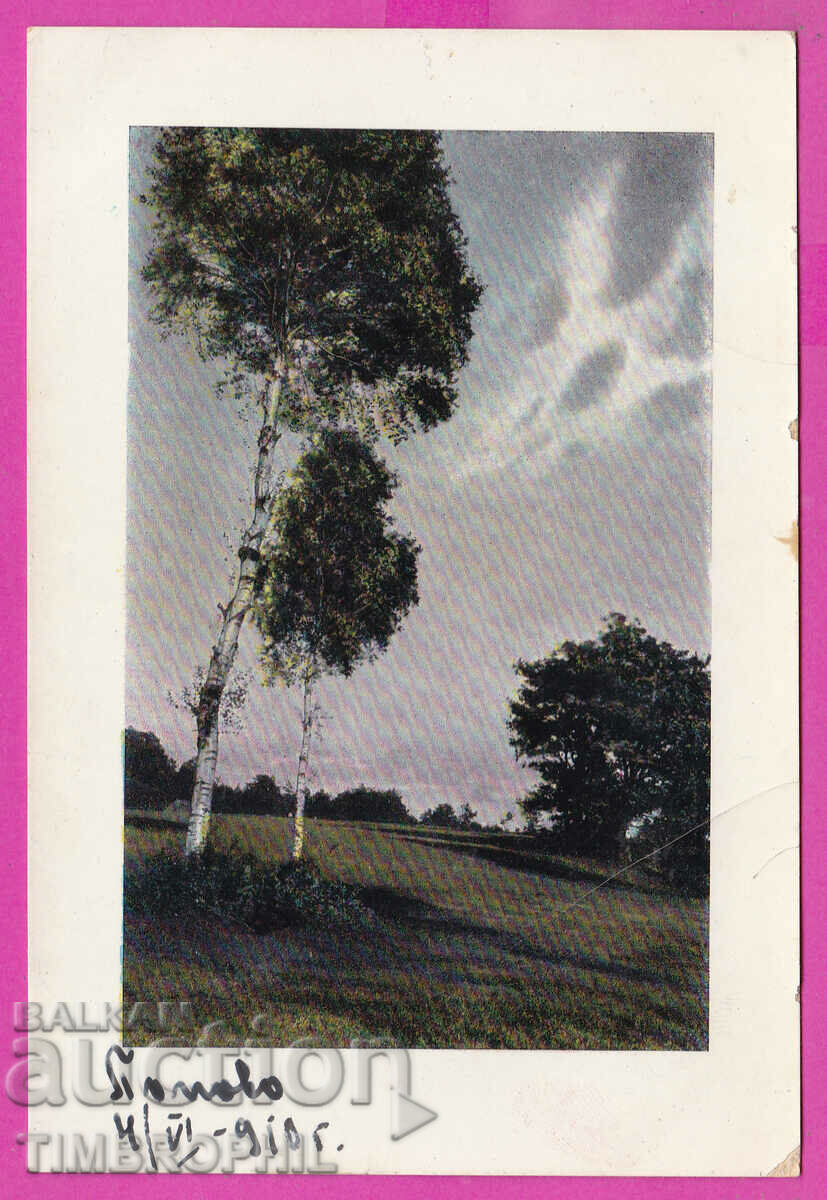 Auction  296789 / Popovo Station 1910 - Ruse, Landscape 1033/6