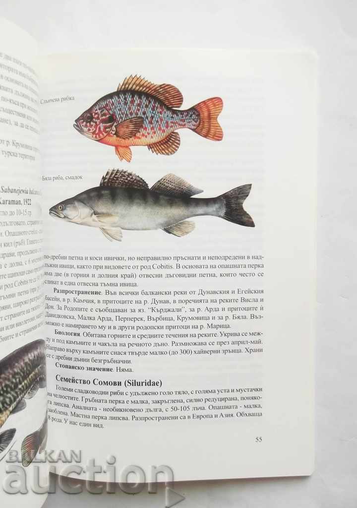 The fish, amphibians and reptiles of the Rhodopes - Mladen Zhivkov with price 45.00 BGN | € 23.01 The fish, amphibians and reptiles of the Rhodopes - Mladen Zhivkov with price 45.00 BGN | € 23.01
