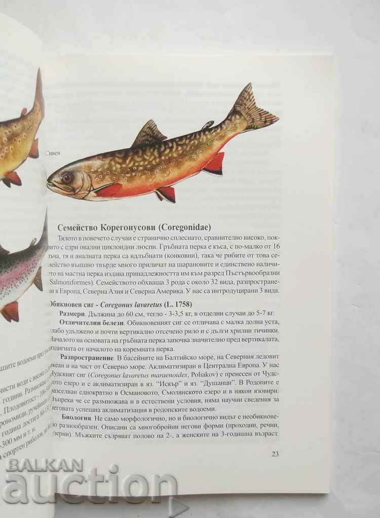 Auction The fish, amphibians and reptiles of the Rhodopes - Mladen Zhivkov Auction The fish, amphibians and reptiles of the Rhodopes - Mladen Zhivkov