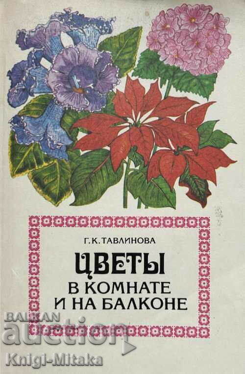 Цветы в комнате и на балконе - Г. К. Тавлинова